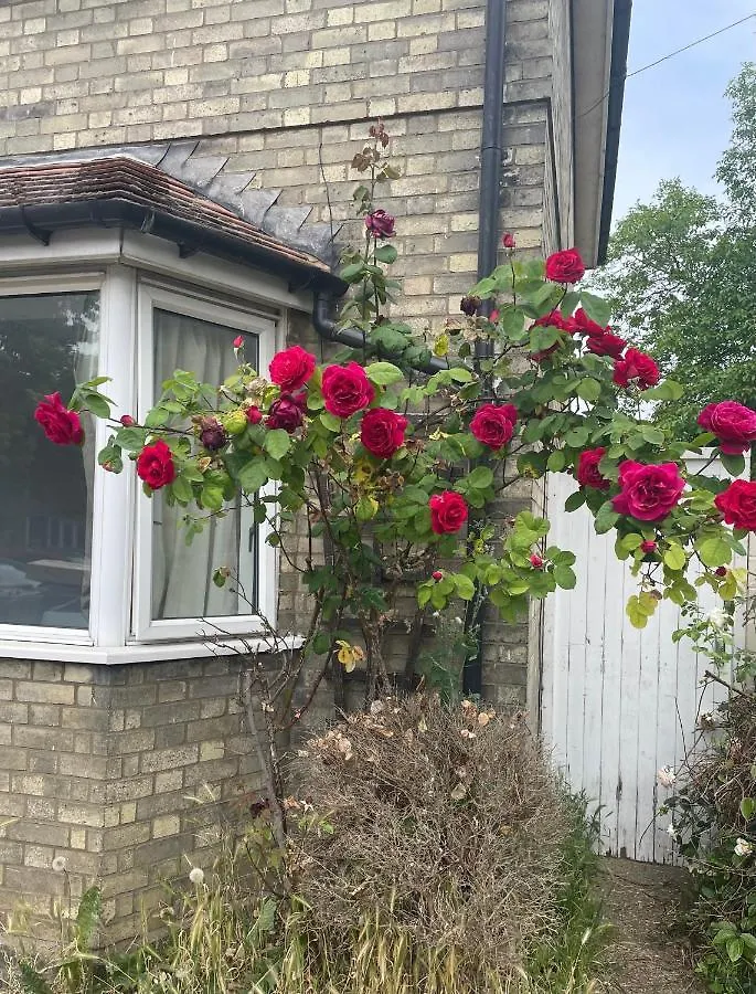 4-Bedroom Home With Free Parking In Cb1 Cambridge Dom wakacyjny